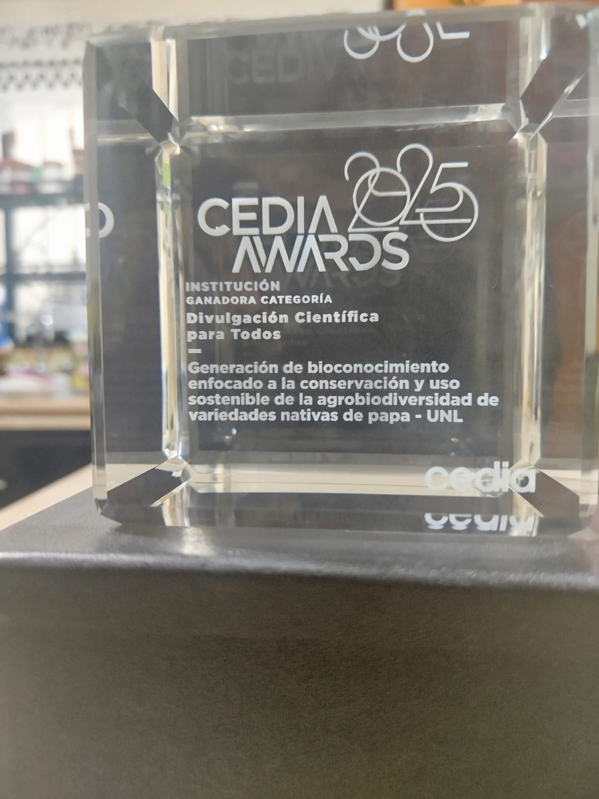 CediaAwards2025 2