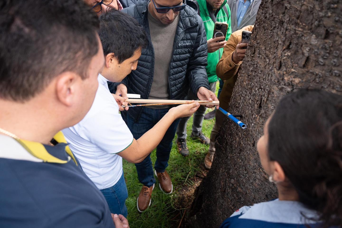 ApoyoCuencaArbolado 2