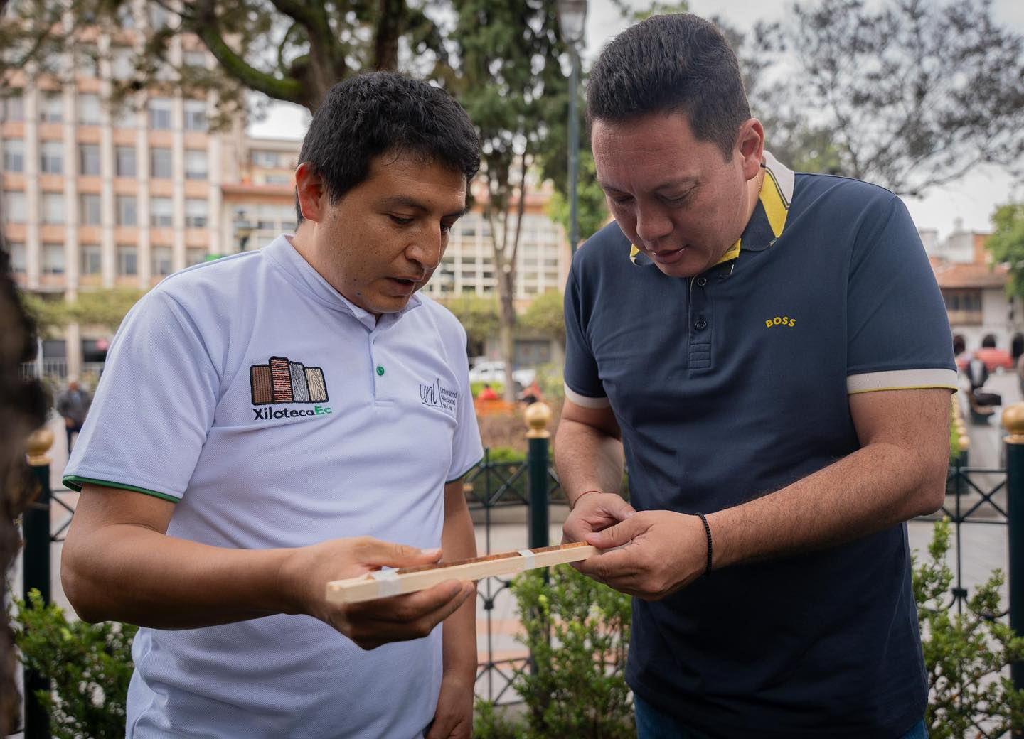 ApoyoCuencaArbolado 3