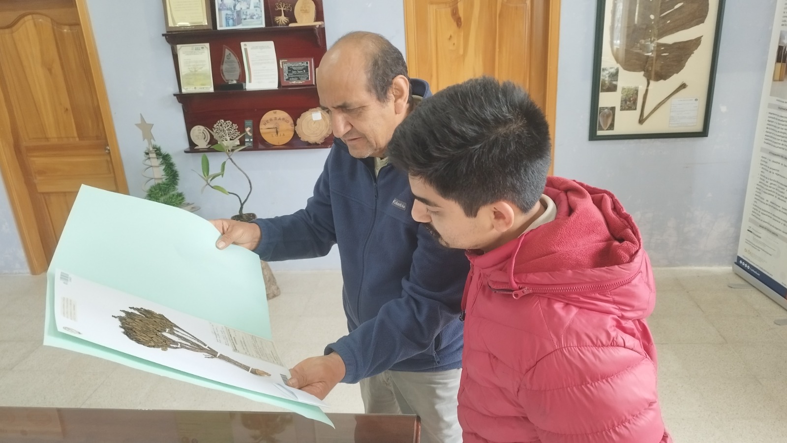 SubvenciónHerbario 4