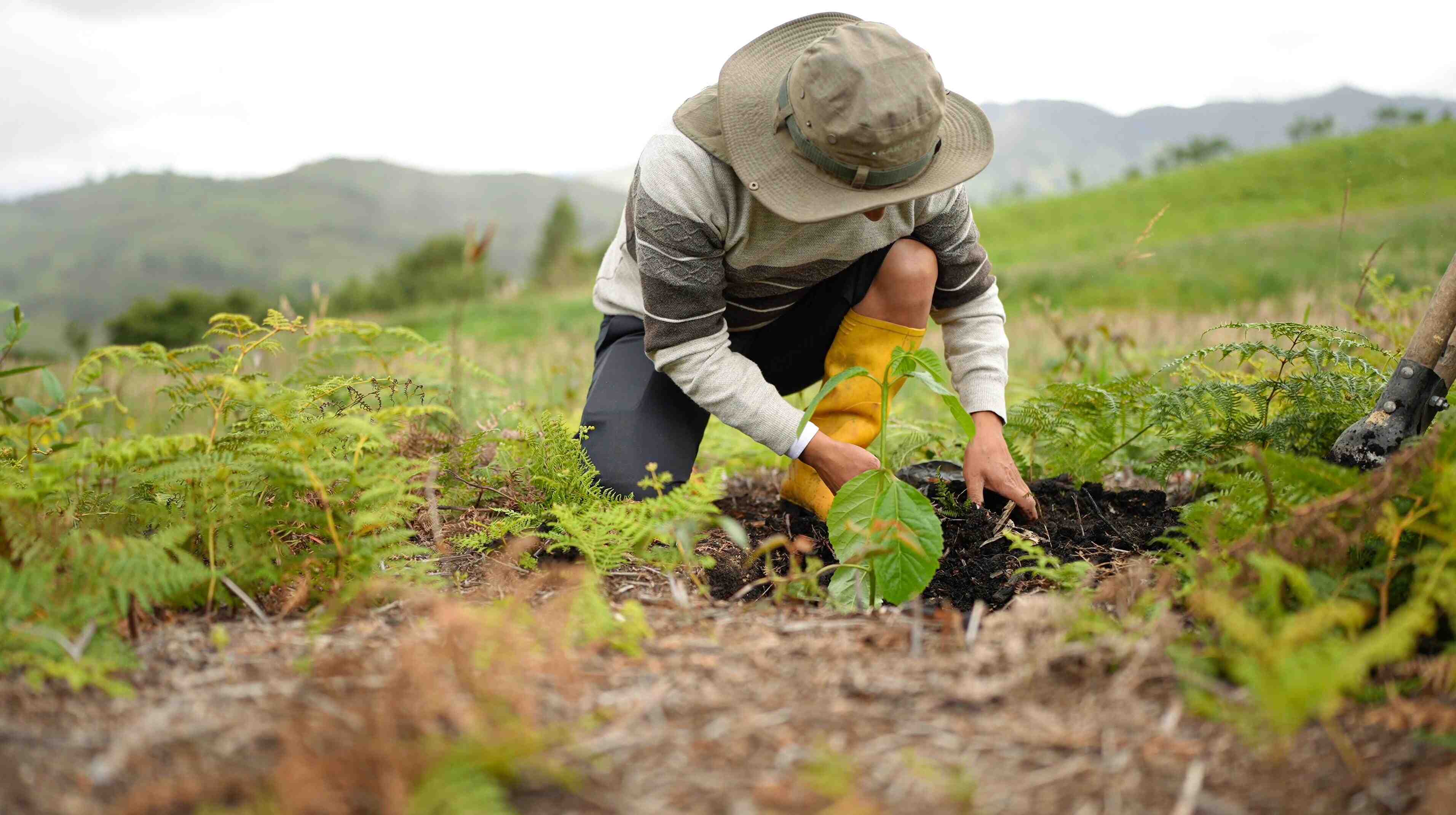 SemanaDelÁrbolYLaBiodiversidadUNL2025 4
