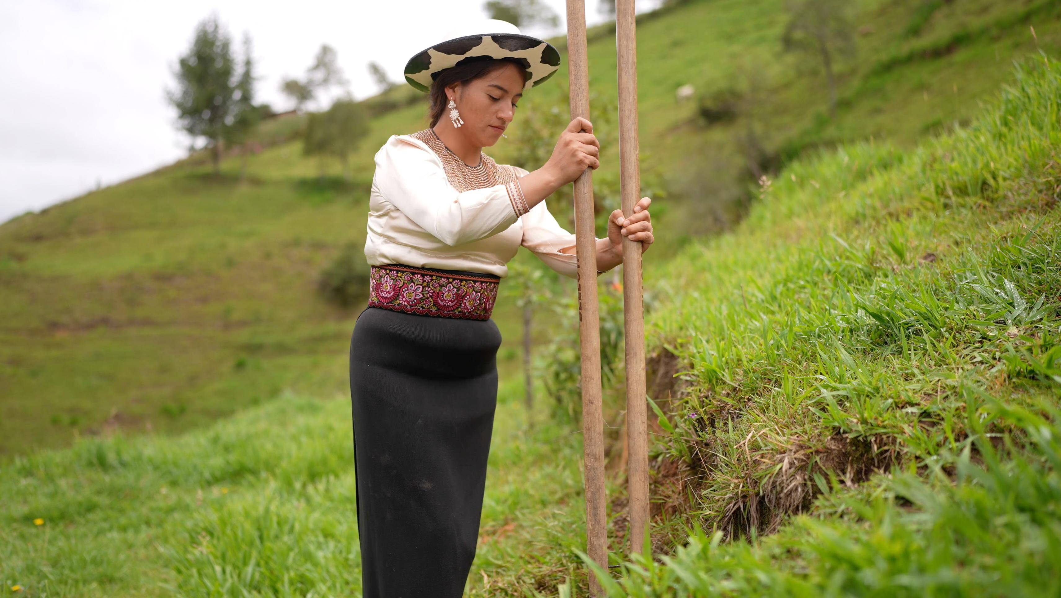 RestauraciónForestalUNL 5