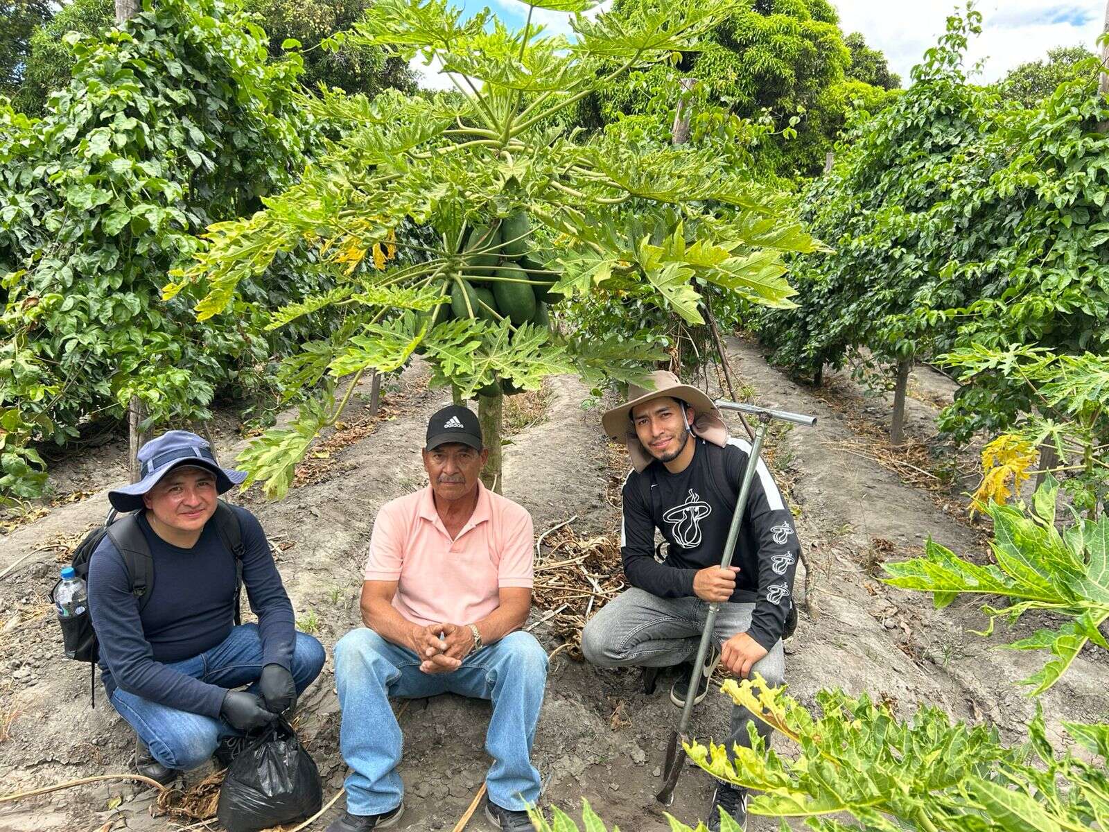 MaestríaEnAgronomía 5