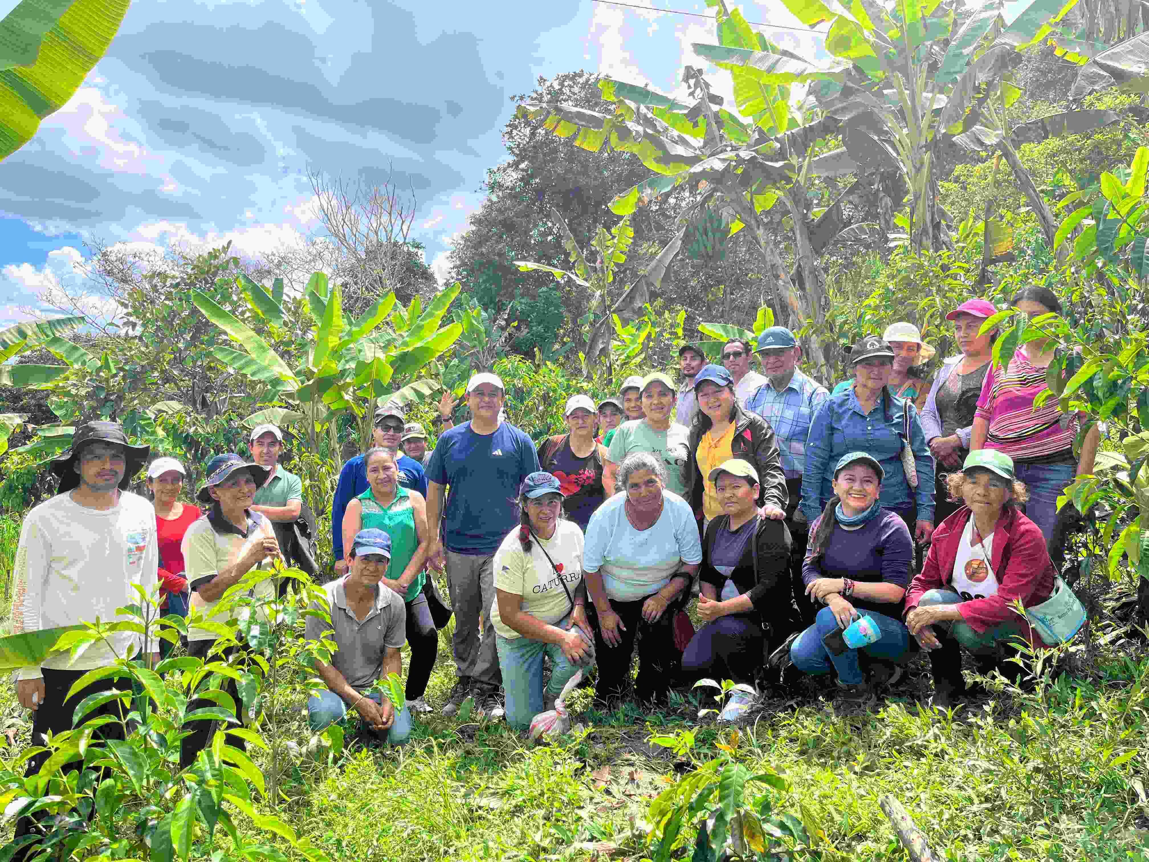 InvestigaciónCaféLojaZamoraCh 6