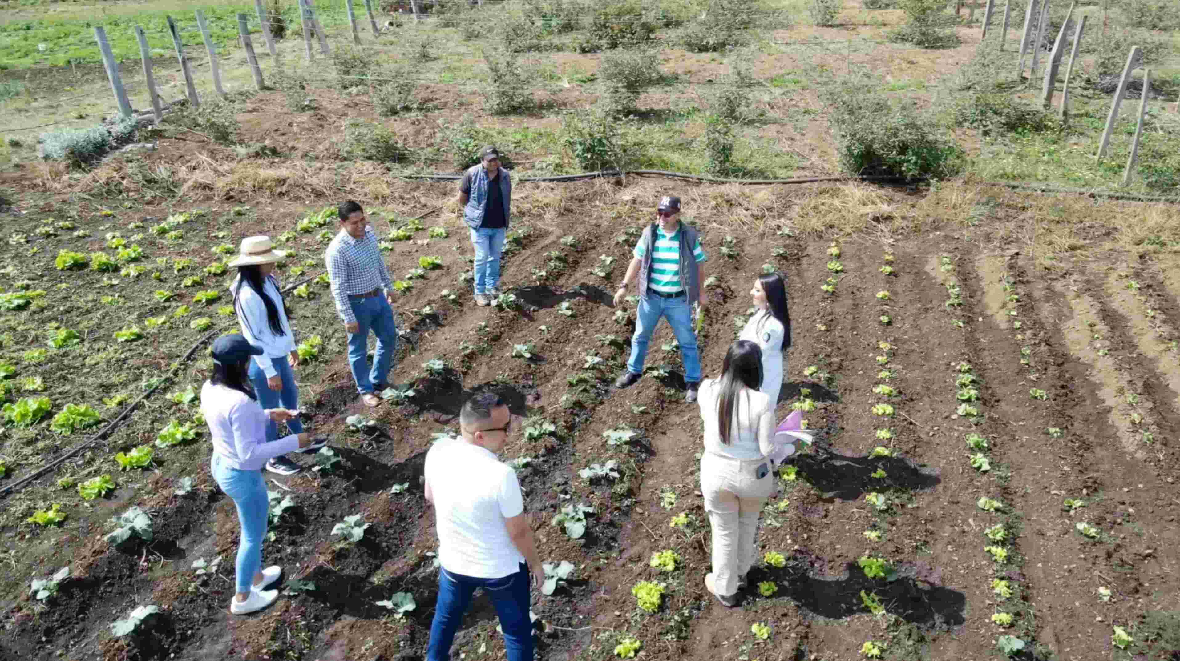 PrimerPromoAgronegocios 6