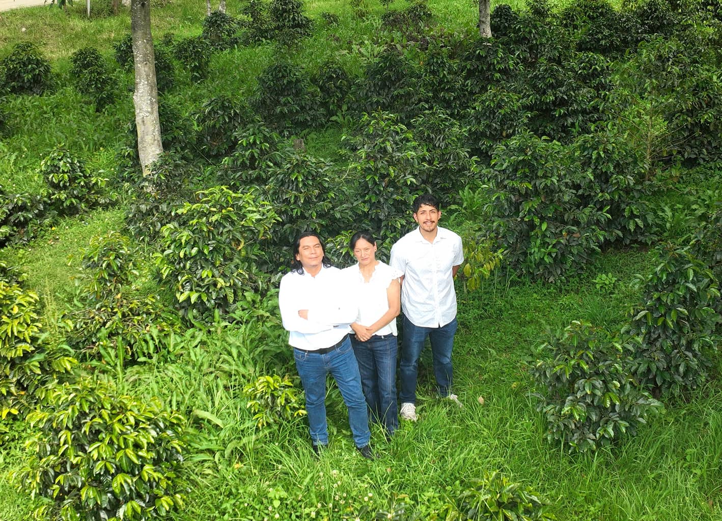 Grupo de Investigación del proyecto Diversidad e Interacciones Ecológicas de Aves y Escarabajos en Cafetales del Sur de Ecuador