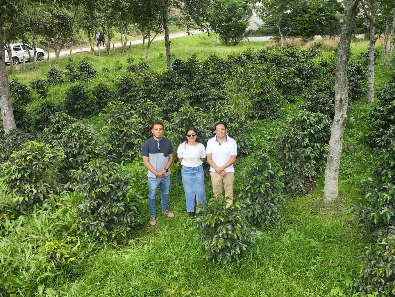 Grupo de Investigación del proyecto Semillas de Cambio: El café que circula en fundas verdes