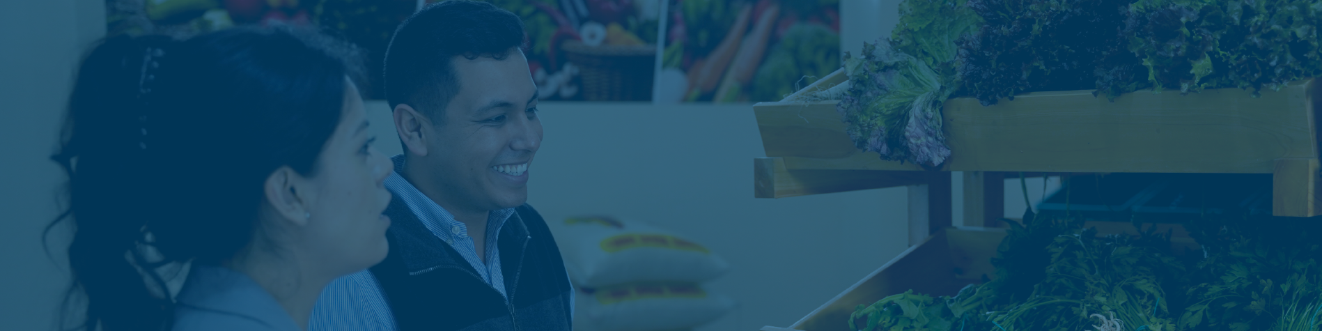 Agronegocios Sostenibles