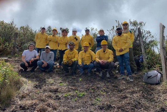 proyecto incendios forestales