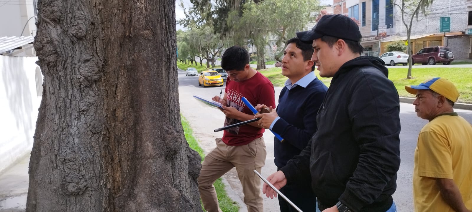 Se contribuye a que entidades como el Municipio resuelvan qué hacer con los árboles basándose en criterios técnicos