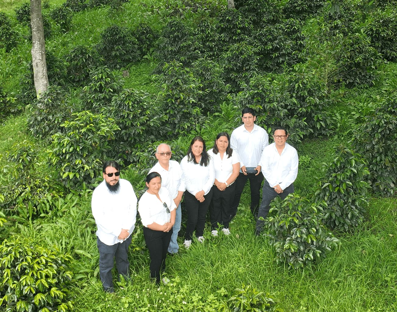 Grupo de Investigación del proyecto Servicios ecosistémicos de los SAF