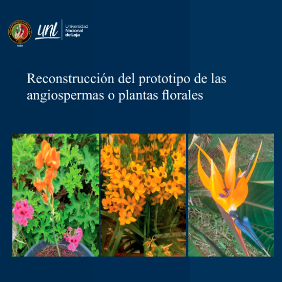 Reconstrucción del prototipo de las angiospermas o plantas florales