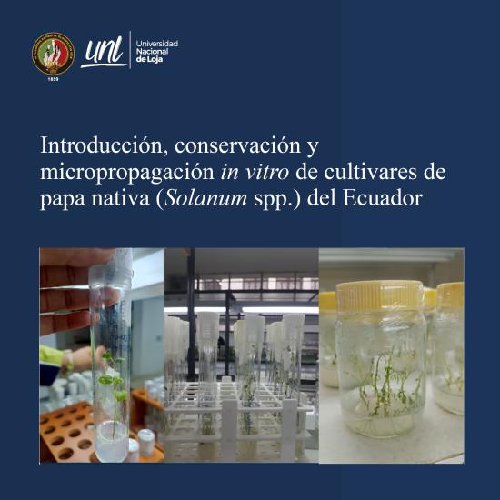 Portada del libro sobre la introducción, conservación y micropropagación in vitro de cultivares de papa nativa (Solanum spp.) del Ecuador, mostrando plántulas de papa en tubos de ensayo y frascos de cultivo dentro de un laboratorio.