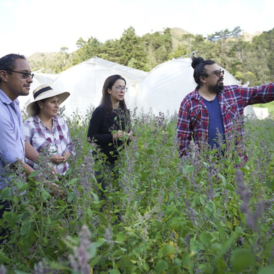 bases fisiologicas quinua