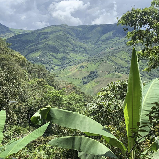 Biogeografía del cambio climático