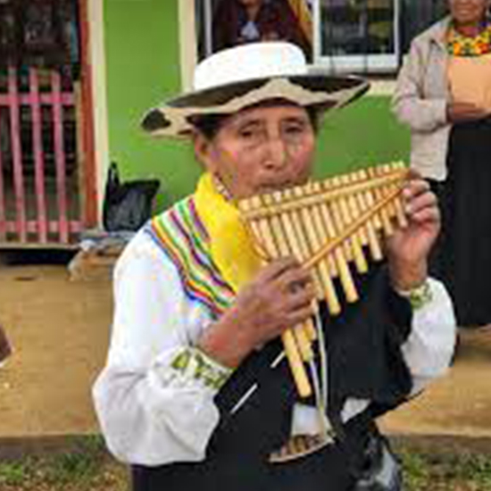 Intervención psicopedagógica basada en un programa neuropsicológico para mejorar las funciones cognitivas básicas de los adultos mayores del Centro Diurno de Atención al Adulto Mayor Saraguro.