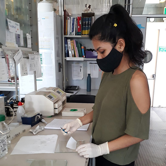 Purificación y caracterización de acetilcolinesterasa 