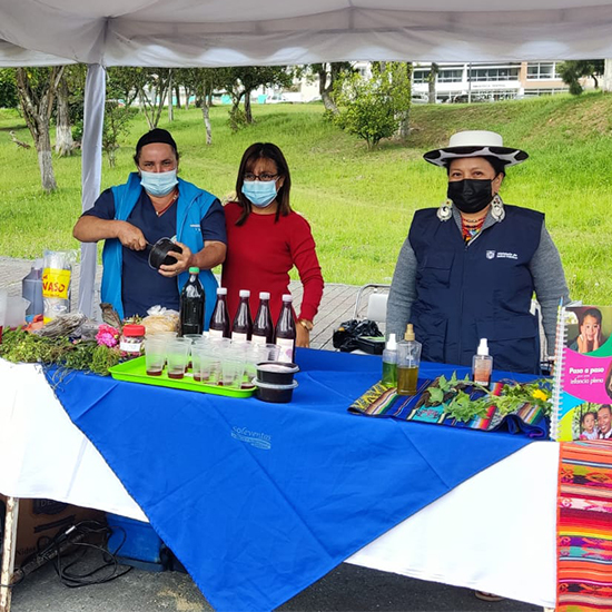 Uso tradicional de plantas medicinales en gestantes y puérperas de las comunidades nativas de la zona 7