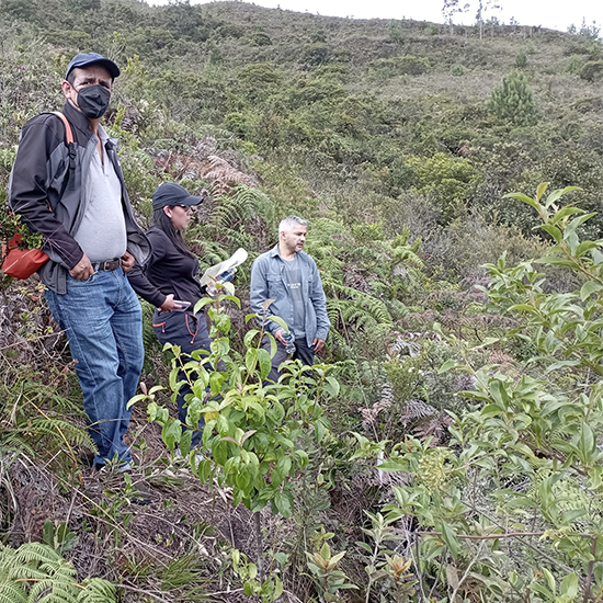 Procesos ecológicos