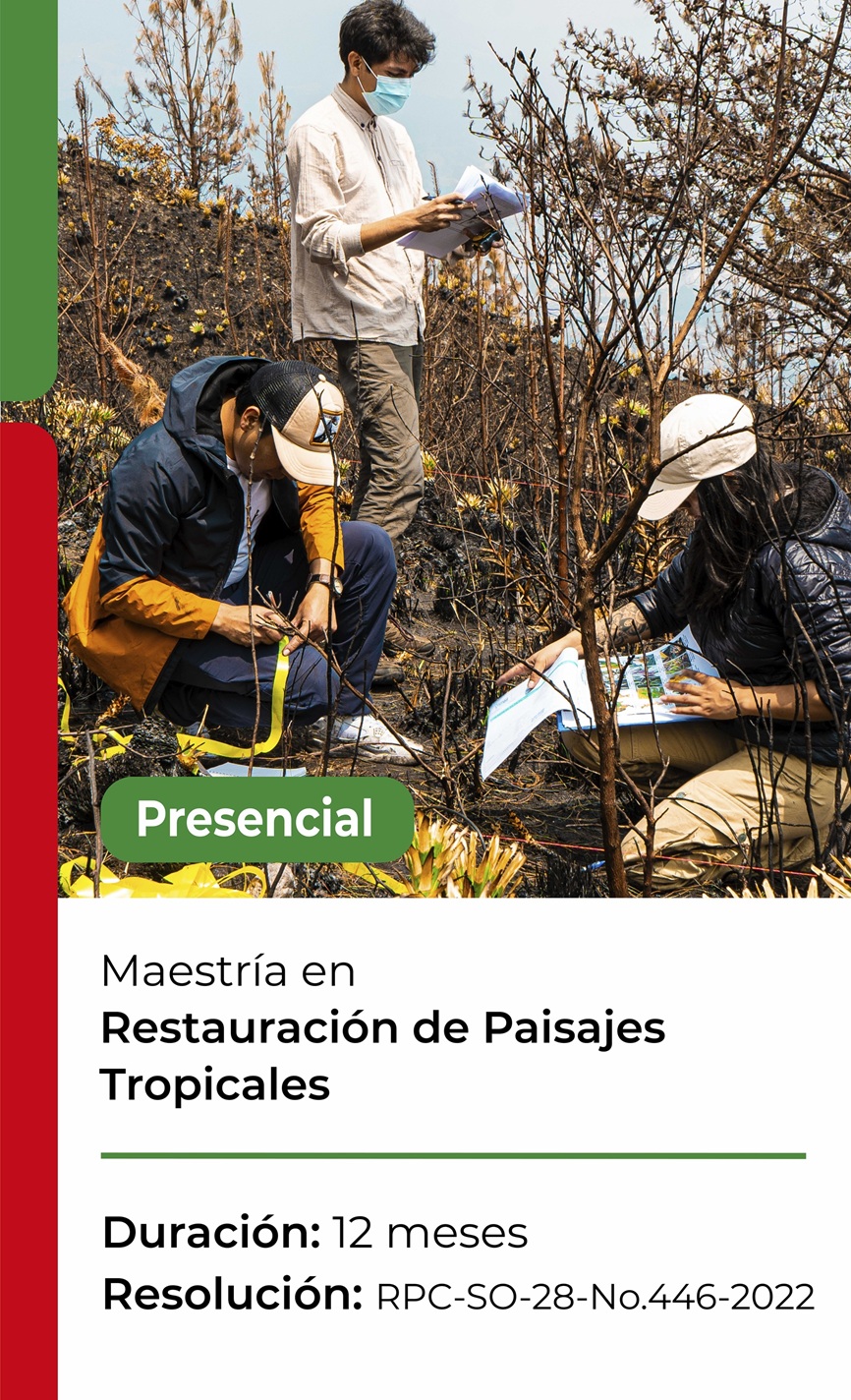 Restauración
