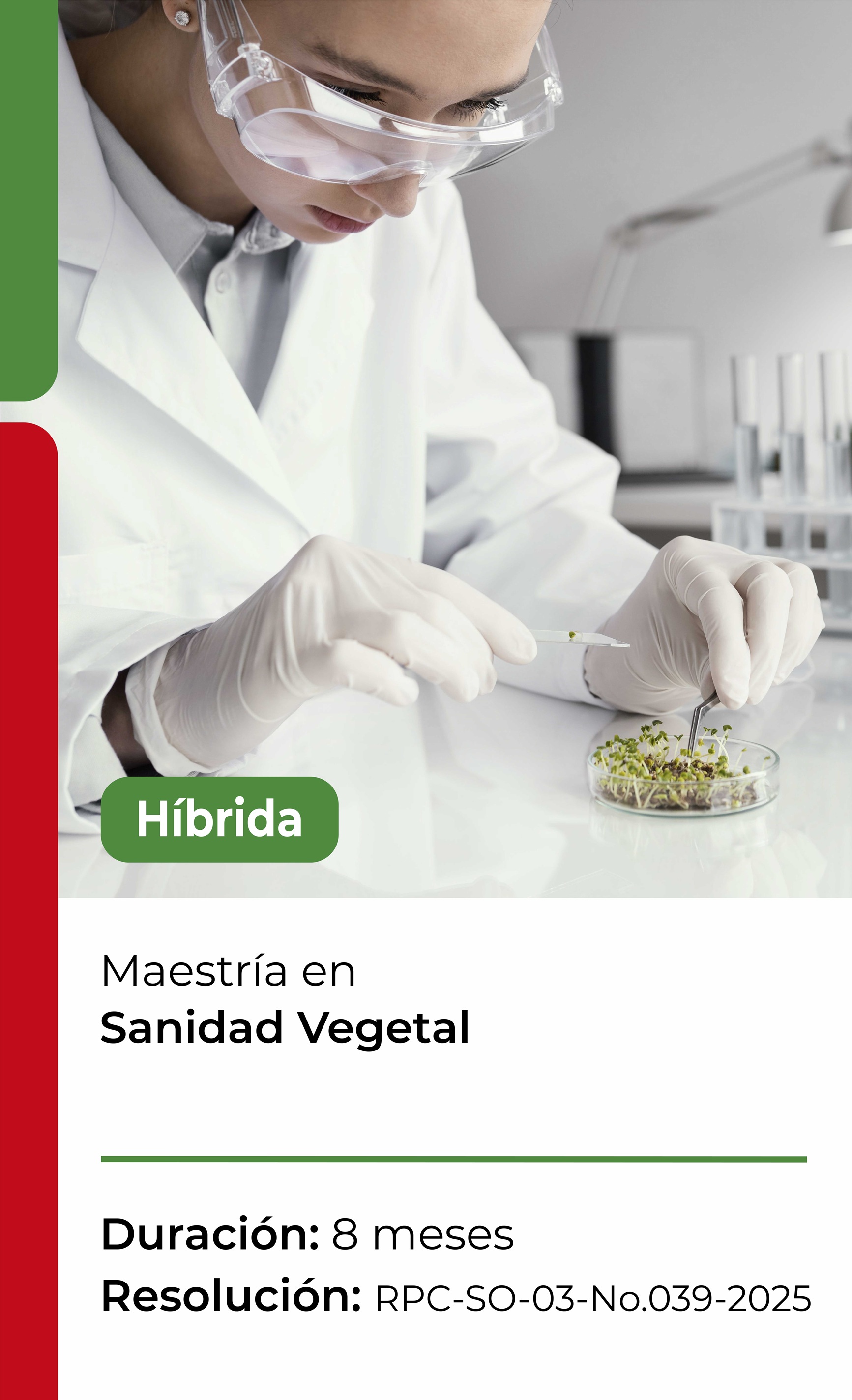Sanidad Vegetal