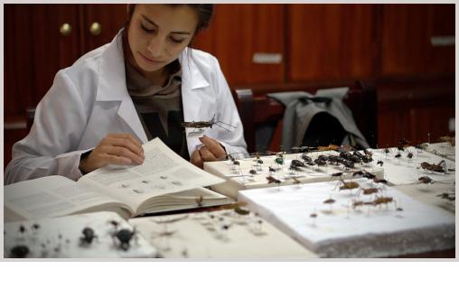 Museo de Zoología LOUNAZ acreditado con 622 especímenes 