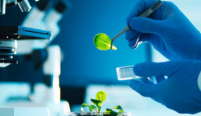 Presentación de la producción científica de la UNL