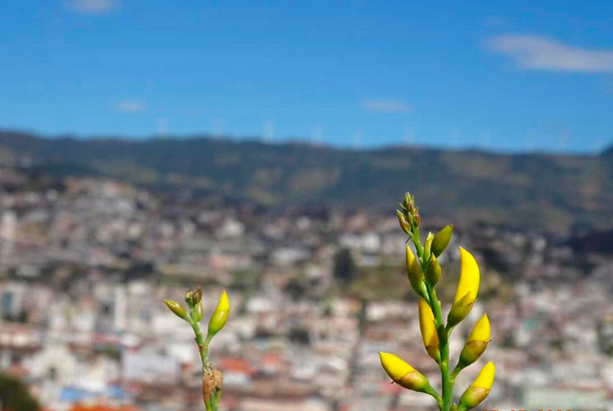 UNL entre finalistas del concurso de políticas socioambientales de la ONU