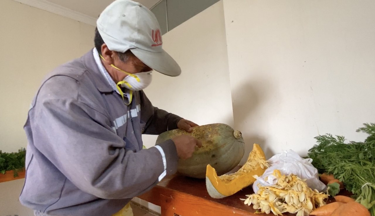 Quinta Experimental La Argelia: un escenario de aprendizaje y producción orgánica para la Región Sur