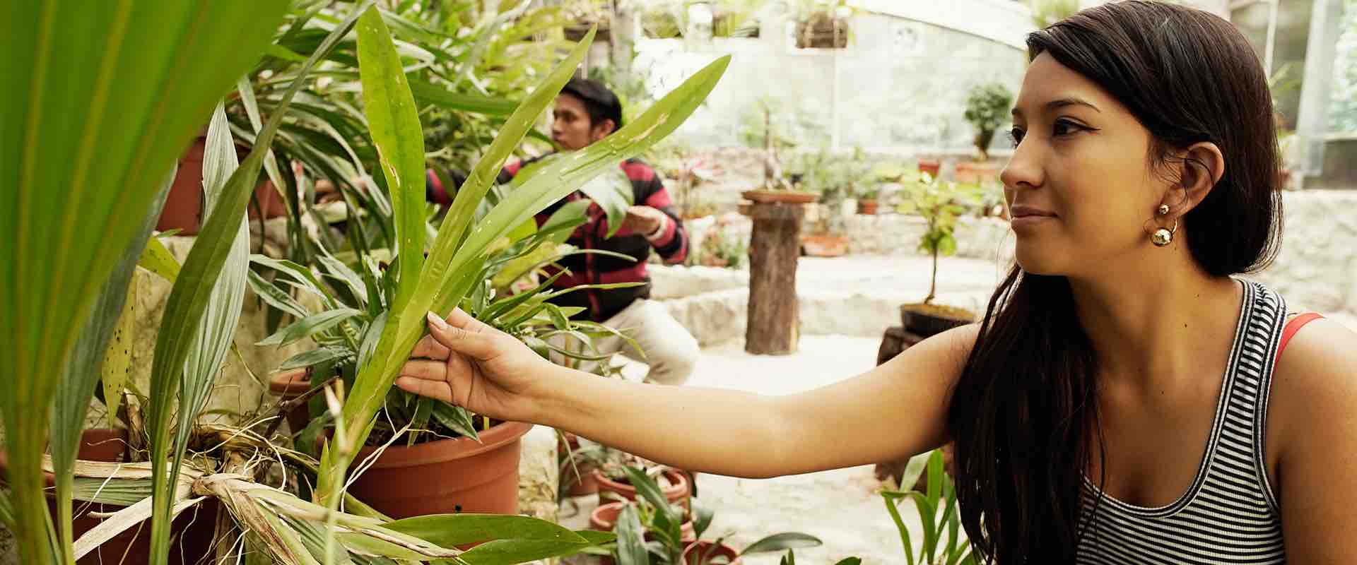 UNL organizó diálogo enfatizando el rol de la mujer en la Ingeniería Forestal