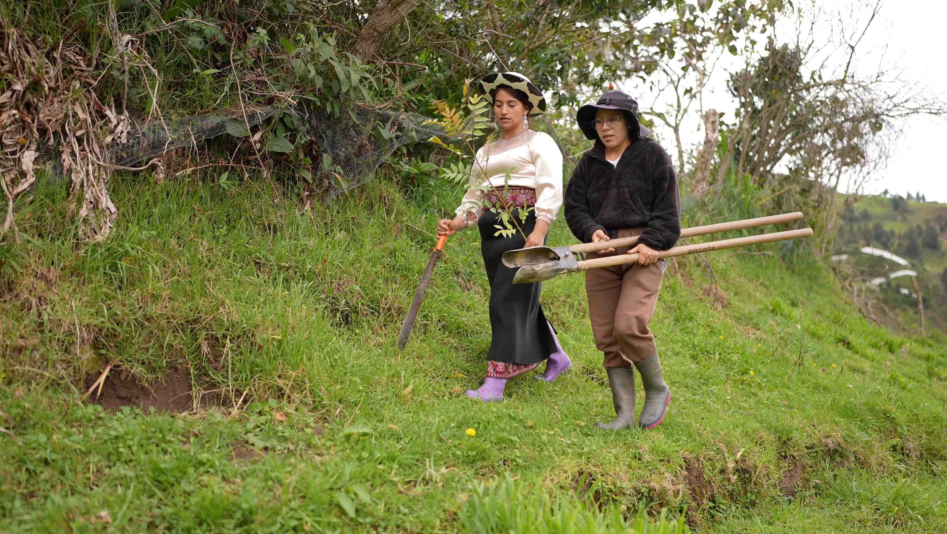 RestauraciónForestalUNL 1