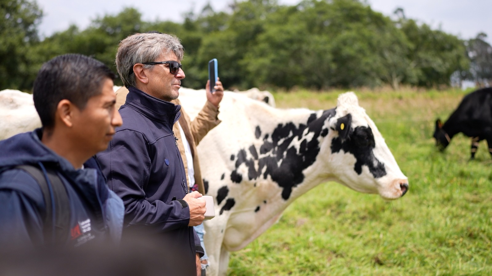 DocenteArgentinoProducciónAnimal 1