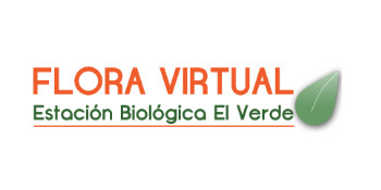 Flora Virtual de la Estación Biológica El Verde