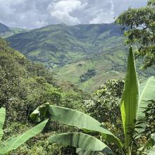 Biogeografía del cambio climático