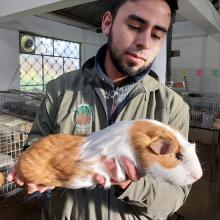 estrategias nutricionales