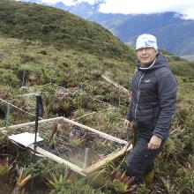 restauracion y dinamica de ecosistemas alto andinos