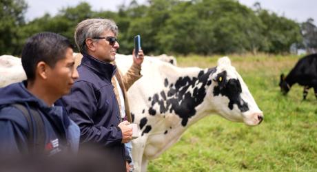 DocenteArgentinoProducciónAnimal 1