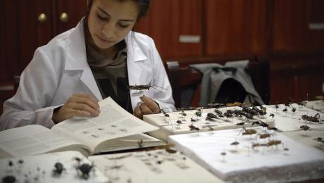 Museo de Zoología de la UNL acreditado con 622 especímenes