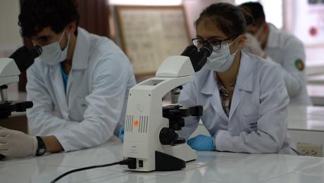 Ambientalistas presentan investigación de capacidades de retención de polvo