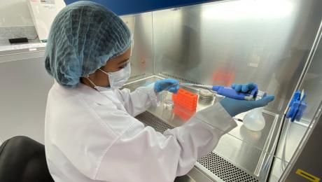 Biofertilizante estimulará el desarrollo de cultivos    