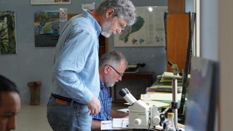 Nueva especie de flora es investigada por científicos internacionales en el Herbario "Reinaldo Espinosa"