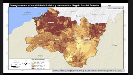 II Jornadas Geológico-Mineras UNL 2020 con gran acogida  
