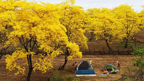 l Congreso Virtual sobre turismo en la UNL