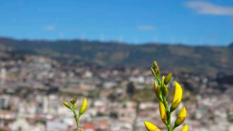 UNL entre finalistas del concurso de políticas socioambientales de la ONU