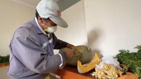 Quinta Experimental La Argelia: un escenario de aprendizaje y producción orgánica para la Región Sur