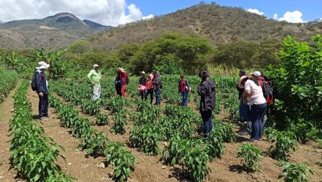 Zapotepamba centro de investigación para el desarrollo del sur del país