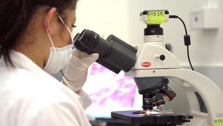 UNL convoca al II Simposio de Investigación Científica 202