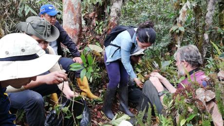 Maestría en Biodiversidad y Cambio Climátio