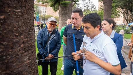 ApoyoCuencaArbolado 1