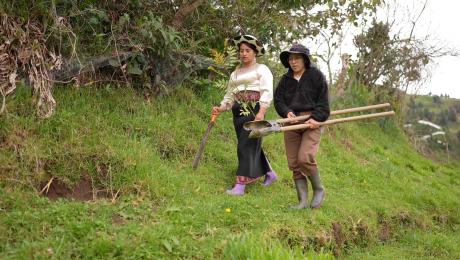 RestauraciónForestalUNL 1